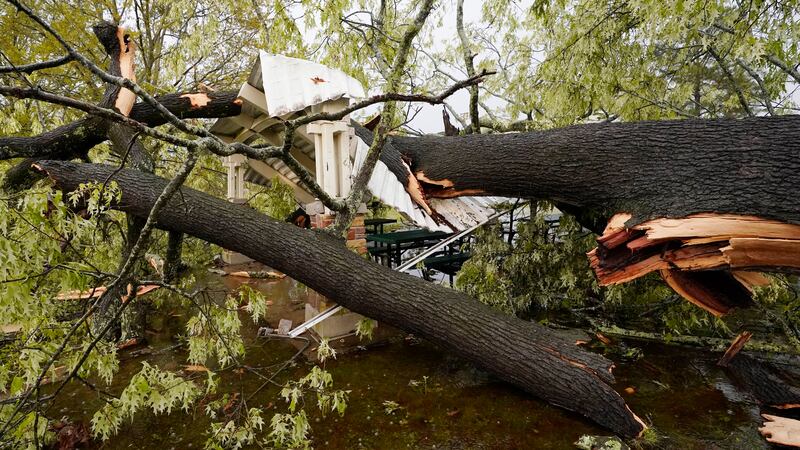 A tree toppled by the storm rests on the roof of a gazebo at Battlefield Park in Jackson, Mississippi, following a severe storm in the state on Wednesday, March 30, 2022.  AP