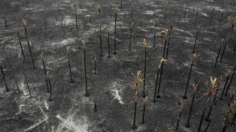 TOPSHOT - Aerial view of damage caused by wildfires in Otuquis National Park, in the Pantanal ecoregion of southeastern Bolivia, on August 26, 2019.  Like his far right rival President Jair Bolsonaro in neigboring Brazil, Bolivia's leftist leader Evo Morales is facing mounting fury from environmental groups over voracious wildfires in his own country. While the Amazon blazes have attracted worldwide attention, the blazes in Bolivia have raged largely unchecked over the past month, devastating more than 9,500 square kilometers (3,600 square miles) of forest and grassland. / AFP / Pablo COZZAGLIO
