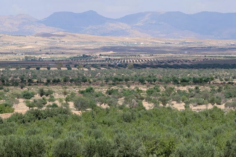 Farmland in Kasserine, Tunisia. Robocare's drones can scan large areas and assess the condition of the vegetation. 