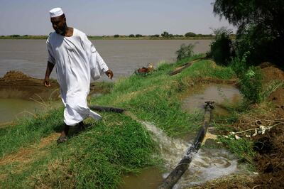 A farmer turns on an irrigation pipe from the Nile to a canal in Sudan's Al Jazeera region. AFP