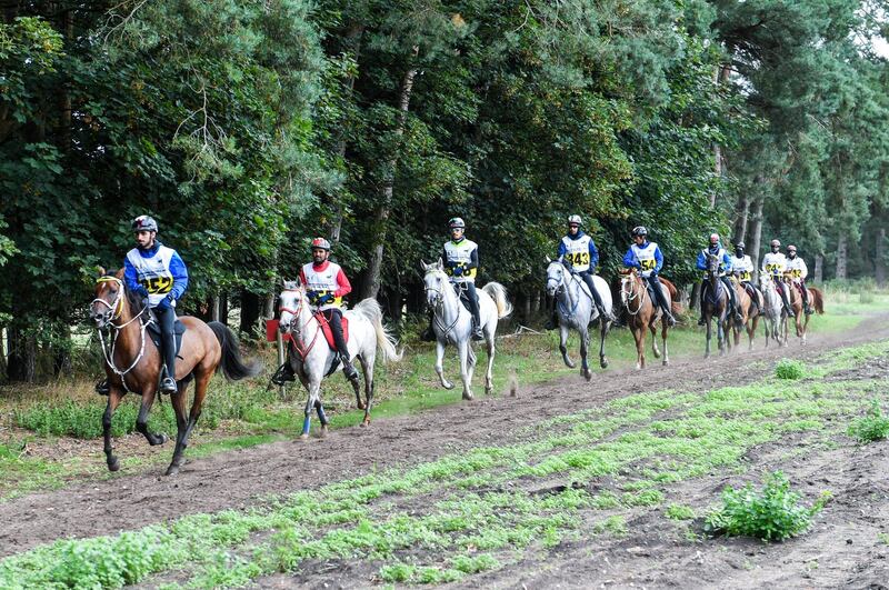 Riders take part in the Sheikh Mohammed Bin Rashid Al Maktoum UK Endurance Festival.
