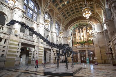 Dippy, the Natural History Museum's famous diplodocus skeleton. PA