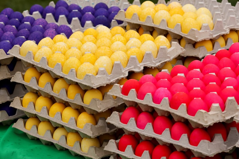 Trays of brightly dyed eggs are displayed, ready for the children’s use. Reuters