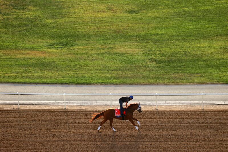 Morning track work ahead of the Dubai World Cup. Meydan has a 2,400-metre turf track and a 2,000m dirt course.  Getty Images