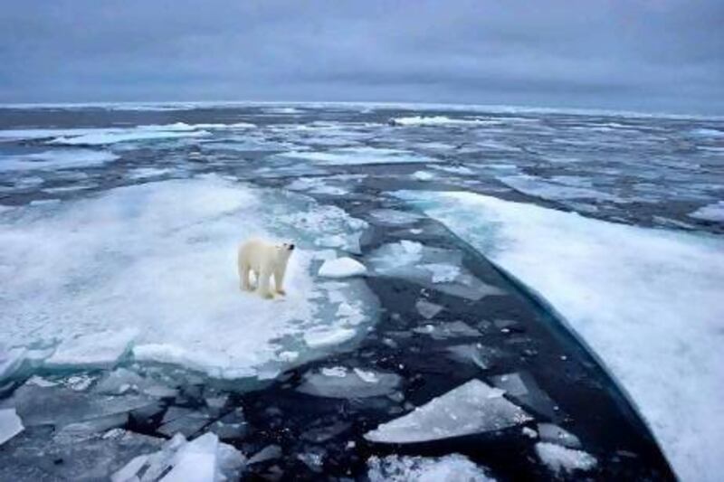 Go on a nine-day cruise around the Svalbard Islands in Norway. Getty Images