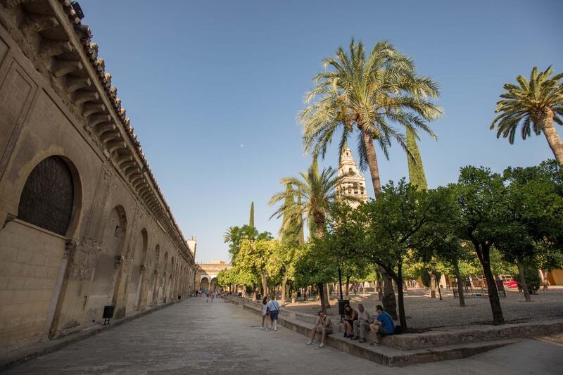 The Courtyard of the Orange Trees, outside the Mosque-Cathedral of Córdoba. Photo by Kira Walker