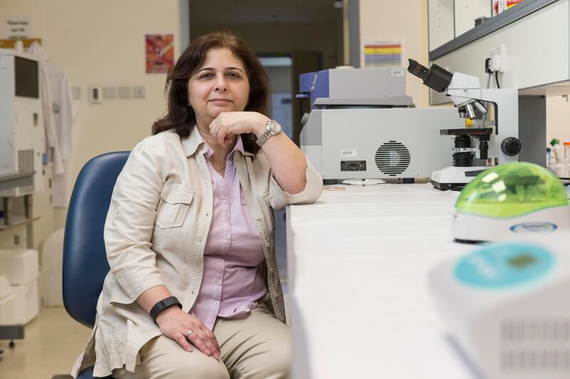 DUBAI, UNITED ARAB EMIRATES, 23 OCTOBER 2016. Dr Hadia Radwan in the lab. Dr Hadia is a Researcher at the University of Sharjah doing a 2.5 year study on the long term health of babies and mothers who breast feed. (Photo: Antonie Robertson/The National) ID: 22873. Journalist: Melanie Swan. Section: National. *** Local Caption ***  AR_2310_Breast_Feed_Study-03.JPG