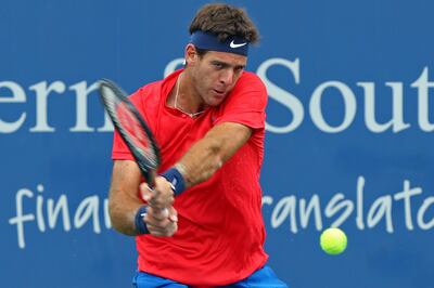 Aug 17, 2017; Mason, OH, USA; Juan Martin del Potro (ARG) returns a shot against Grigor Dimitrov (BUL) during the Western and Southern Open at the Lindner Family Tennis Center. Mandatory Credit: Aaron Doster-USA TODAY Sports