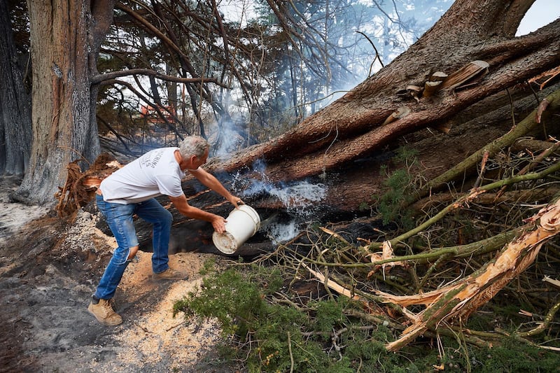 A resident throws a bucket of water onto a smoldering tree on his property in Wingello, Australia. Getty Images