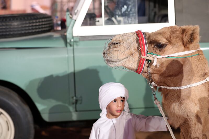 Young visitor Marzog, aged 3, meets a camel on the opening day of the Sheikh Zayed Festival in Al Wathba