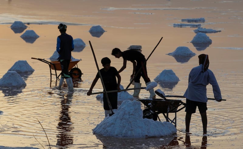 Salt collectors working in a pond in the city of Diwaniyah, Iraq. Reuters