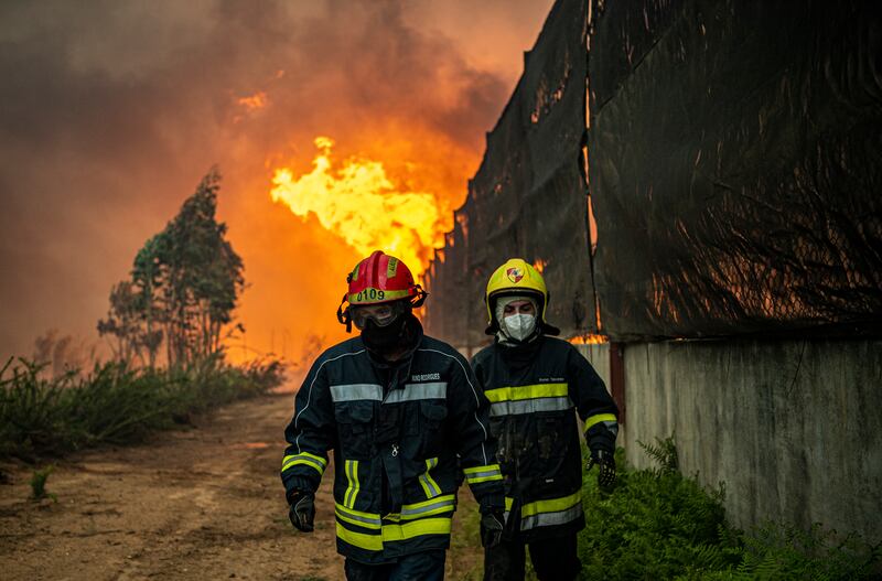 Firefighters tackle a forest fire in July 2022 in Albergaria a Velha, Portugal