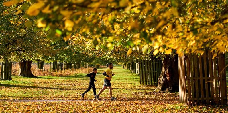 Runners in Bushy Park, London. (Photo by John Walton/PA Images via Getty Images)