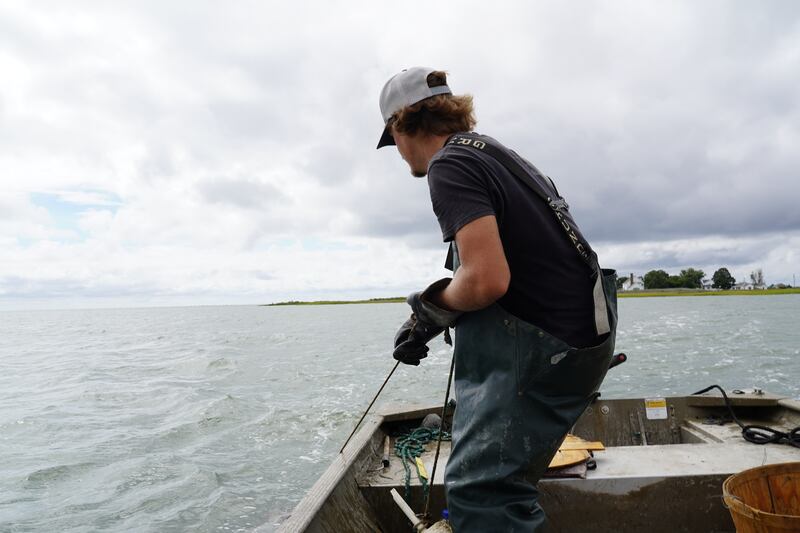 Cameron Evans, 23, pulls up a crab trap that he set in the sandy waters of the Chesapeake Bay. 