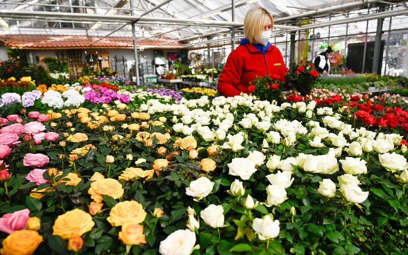 An employee of a re-opened garden center wearing a face mask stands between flowers in Ludwigsburg, southern Germany. Garden centers had been closed since December 2020. AFP
