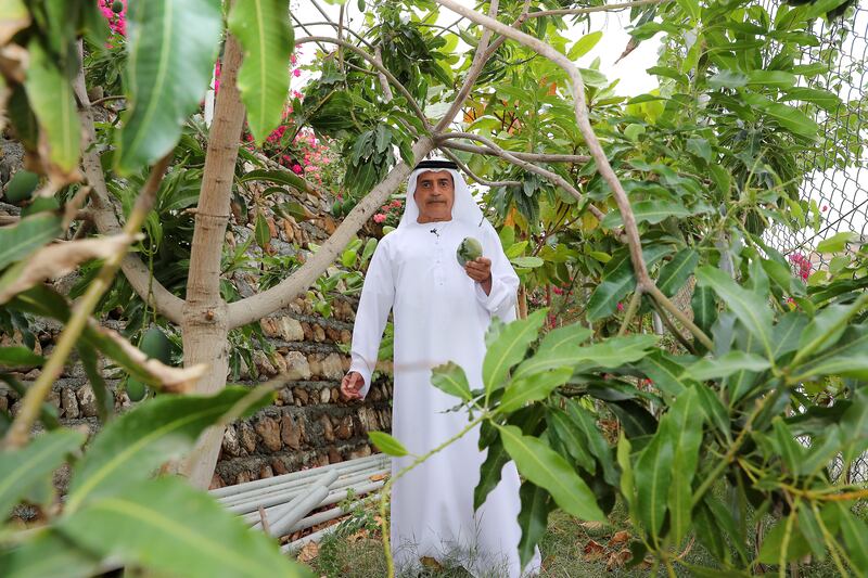'My wish is to have a green UAE, to grow more plants and to encourage the younger generation to do gardening in their house,' Ahmed Al Hefeiti says