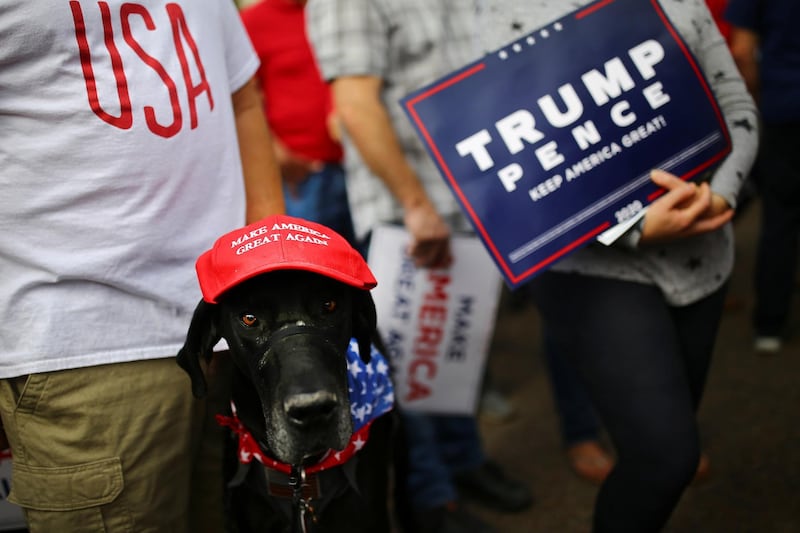 A dog wearing a Make America Great Again (MAGA) hat is pictured during a campaign rally from Donald Trump Jr for U.S. President Donald Trump ahead of Election Day in Scottsdale, Arizona. Reuters