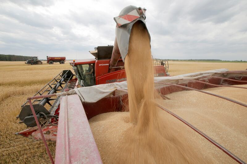 Ukraine supplies large quantities of grain to North African states in particular, which other sources of supply could not replace even in the long run, according to the Kiel Institute for the World Economy. AFP