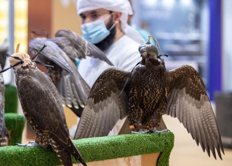 Al Andalus Falcons stall at Adihex. Victor Besa / The National