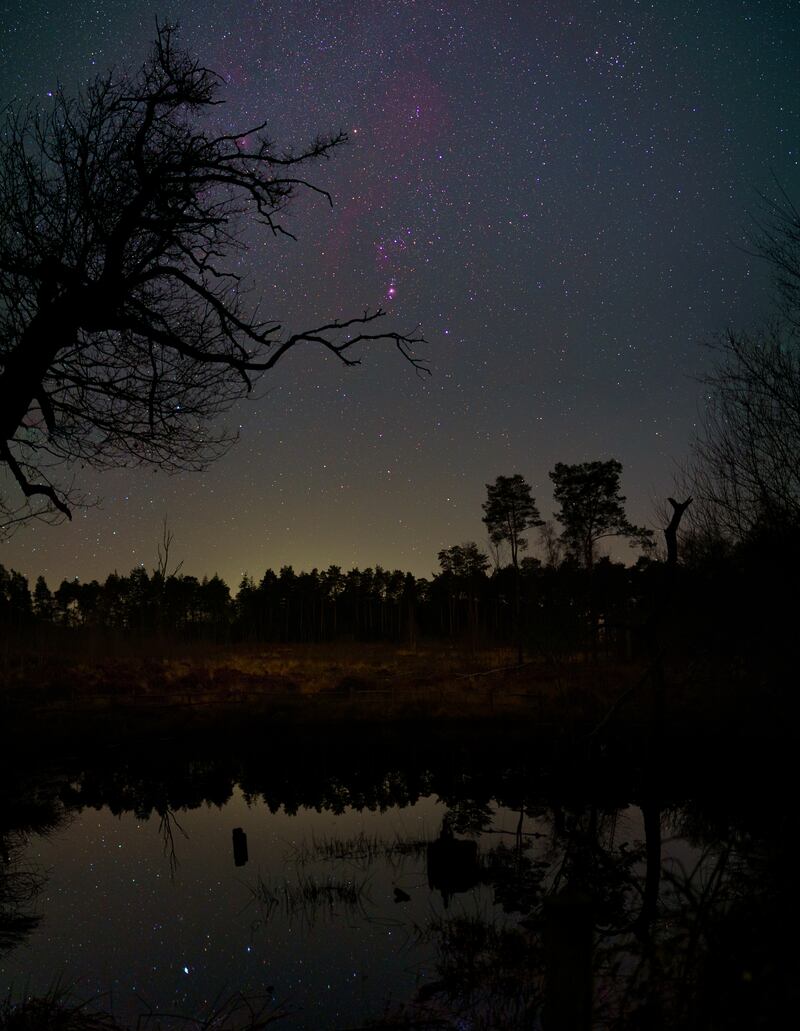 Orion Over Black Pond at RSPB Pulborough Brooks by Steve Geliot, also highly commended. PA