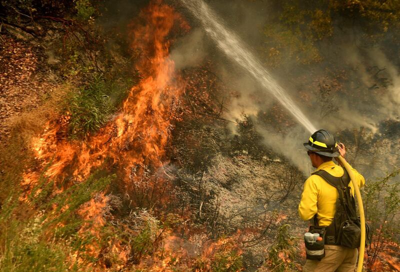 A firefighter puts out a hot spot along Highway 38 northwest of Forrest Falls, California, as the El Dorado Fire continues to burn. SCNG via AP