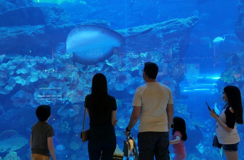 DUBAI, UNITED ARAB EMIRATES , August 26 – 2020 :- People wearing protective face mask as a preventive measure against the spread of coronavirus at the Dubai aquarium in Dubai Mall in Dubai.  (Pawan Singh / The National) For News/Standalone/Stock