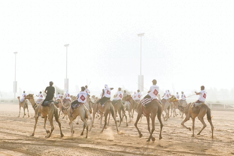 DUBAI, UNITED ARAB EMIRATES - DEC 3,

Onlookers at the track at Dubai International Endurance City.

The third edition of the National Day Camel Marathon kicks off. Organised by the Hamdan Bin Mohammed Heritage Centre, HHC, in co-operation with the Dubai Camel Racing Club, celebrates UAE’s 46th National Day, at Dubai International Endurance City, Saih Al Salam.

(Photo by Reem Mohammed/The National)

Reporter:  ANNA ZACHARIAS
Section: NA