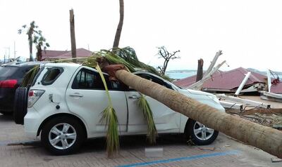 A palm tree lays on a car after the passage of Hurricane Irma, near the shore in Marigot, on the island of St. Martin, Saturday, Sept. 9, 2017. The island is divided between French St. Martin and Dutch Sint Maarten. (AP Photo/Amandine Ascensio