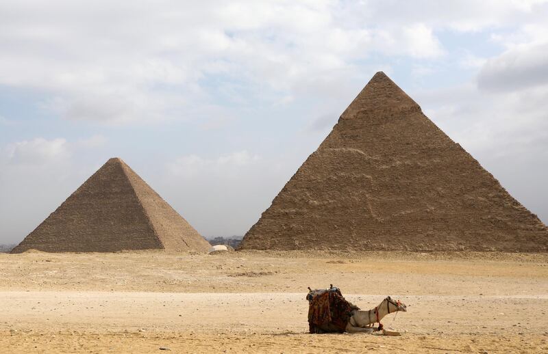 A camel is seen in front of the Great Pyramids in Giza, on the outskirts of Cairo, Egypt. Reuters