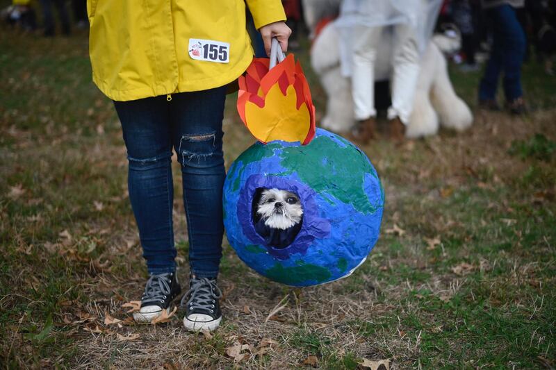 A dog sitting in a globe with flames attends the Tompkins Square Halloween Dog Parade in Manhattan in New York City. AFP