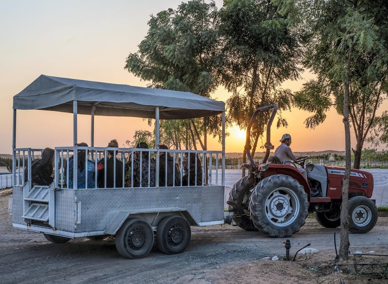 Guests booking the private experience can embark on a tractor tour of the farm.