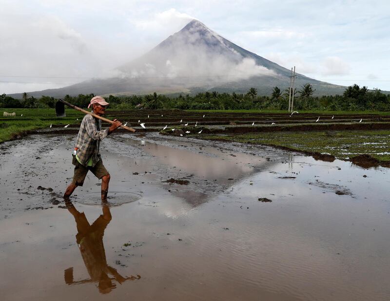 A Filipino farmer clears a rice field near the base of Mount Mayon in the town of Camalig, Albay province, Philippines. Francis R Malasig / EPA