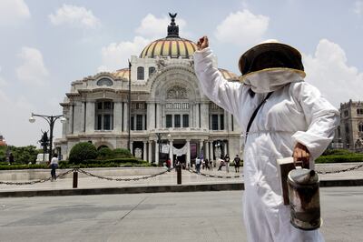 A beekeeper protests to demand "More Pollination and Less Pesticides" during National Bee Day in Mexico City. Getty Images