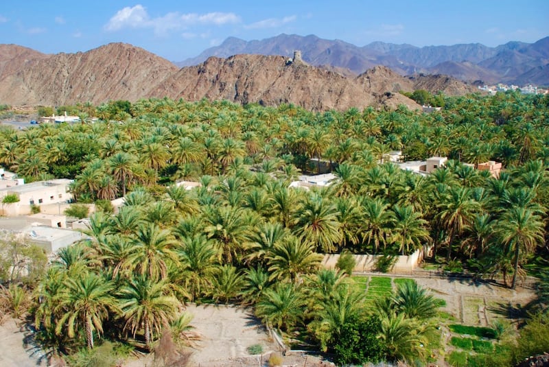 Mokazzah village is located in Izki. Oman News Agency