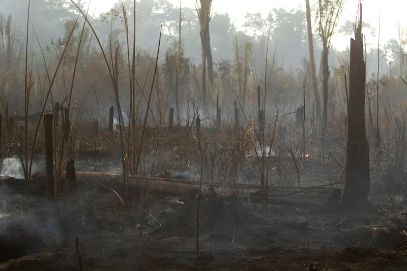 epa07796054 General view of the damage caused by the fires in the forest of Porto Velho, Brazil, on 26 August 2019. Seven Brazilian states have formally requested the help of the military to fight the fires burning in the Amazon.  EPA/JoÃ©dson Alves