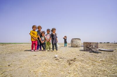 Climate change has had a devastating effect on agriculture in Iraq. Photo: NRC