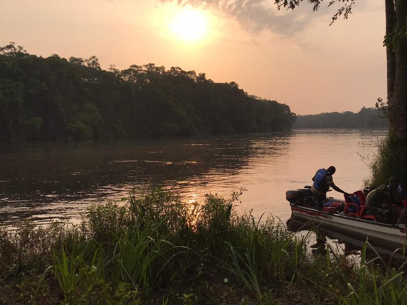 Salonga National Park in Democratic Republic of the Congo has been removed from Unesco's list of World Heritage sites in danger