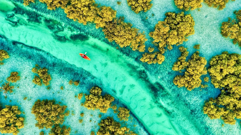 Kayaking on the pristine waterways of the mangroves on Jubail Island, off Sheikh Khalifa Bin Zayed Highway and less than 15 minutes from Abu Dhabi.