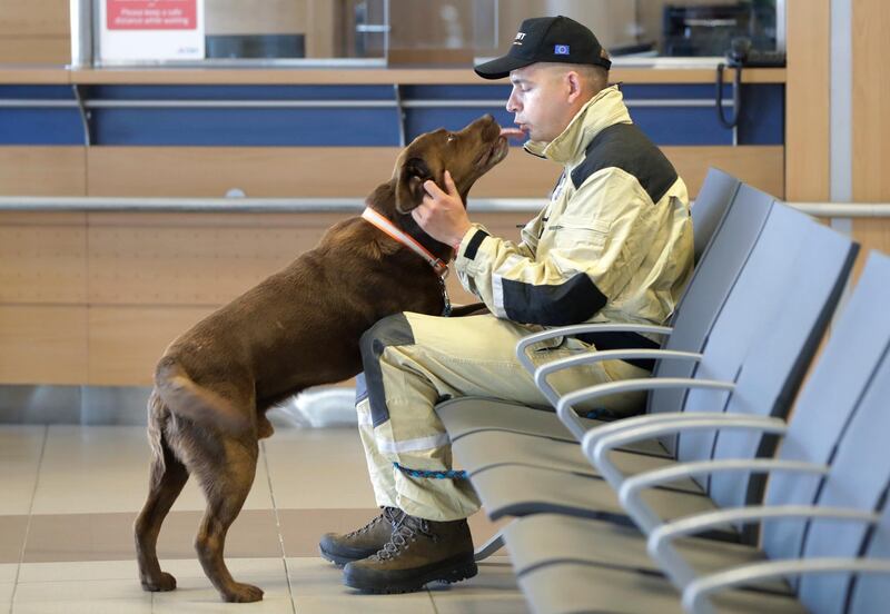 A member of the Czech search and rescue team pets his service dog at the Vaclav Havel airport in Prague, Czech Republic. AP Photo