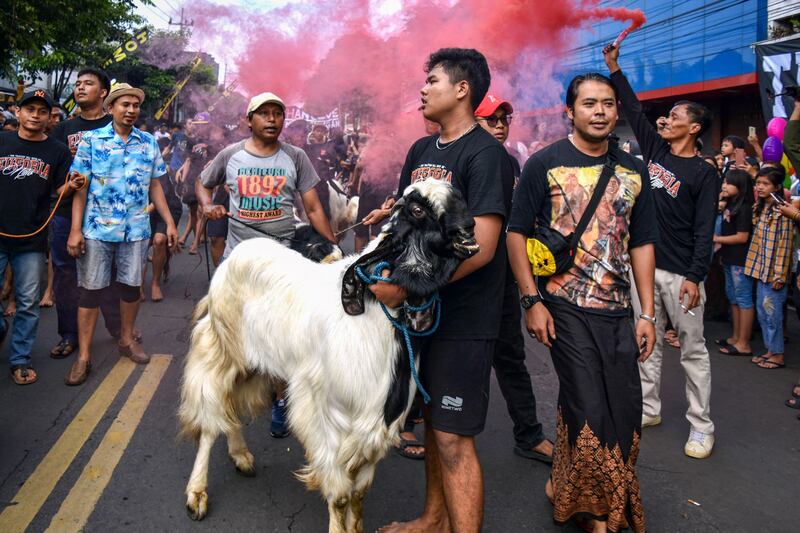 Livestock on parade during Eid Al Adha in Malang, Indonesia. AFP