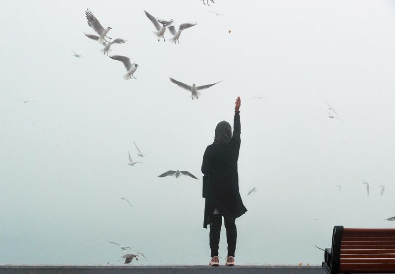 A woman feeds birds on a foggy day in Abu Dhabi. Victor Besa / The National