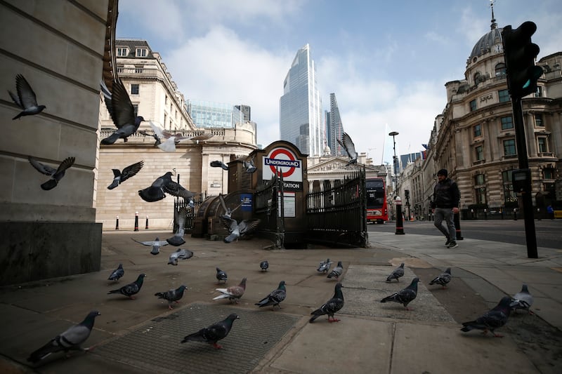 A pedestrian walks past pigeons near the Bank of England in London. Climate change and urbanisation are having noticeable effects on long-term trait changes in European birds, a study has found. Getty