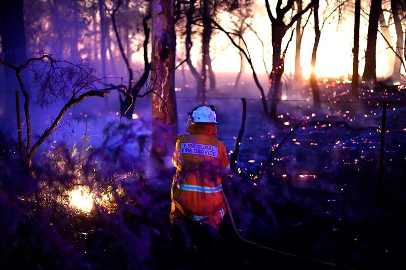 A firefighter conducting back burning measures to secure residential areas from encroaching bushfires at the Mangrove area, some 90-110 kilometres north of Sydney.  AFP