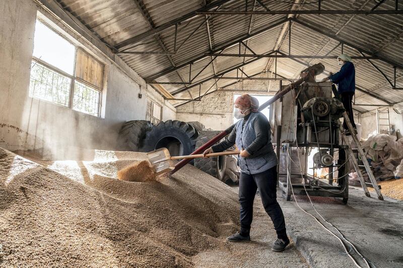 A agricultural worker shovels grain in a storage barn on a farm near the Danube Black Sea Canal in Agigea, Romania, on Tuesday, Oct. 8 2019. The region that straddles the Danube in Romania and Bulgaria has made it a bread basket for centuries but after fits and starts toward the free market, chronic shortages, corruption and political upheaval, it’s plugged into the world economy thanks to the EU’s open borders and money. Photographer: Evgeniy Maloletka/Bloomberg
