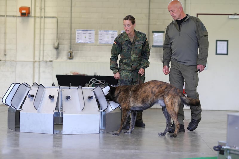 ULMEN, GERMANY - JULY 24: Members of the Bundeswehr, the German armed forces, lead a dog to a test device that is trained to detect Covid-19 infections in humans at the Bundeswehr center for dog training during the novel coronavirus pandemic on July 24, 2020 in Ulmen, Germany. The Bundeswehr is cooperating with the TierÃ¤rztliche Hochschule Hannover veterinary school to train dogs to detect Covid-19 through their sense of smell in saliva samples from humans. The training program is still in its early phase. (Photo by Andreas Rentz/Getty Images)
