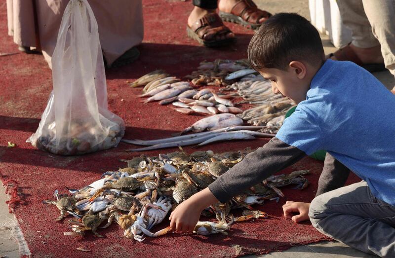 A Palestinian youth reaches out for a crab as the day's catch is displayed before being auctioned off at Gaza City's main port. AFP