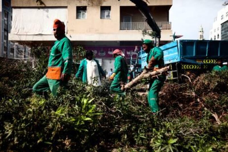 January 10, 2011, Abu Dhabi:

In accordance with a new initiative by the Abu Dhabi municipality, trees are being removed from the streets. Rumors suggest that these tress are dying from disease but no confirmation has been made yet. 

A demolition crew takes down a tree next to 15th street and airport road.  Members of the crew shorten the branches before being hauled on to a truck.
Lee Hoagland/ The National
