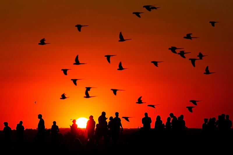 A crowd of people watch the setting sun from a hill in Ealing, west London. AP