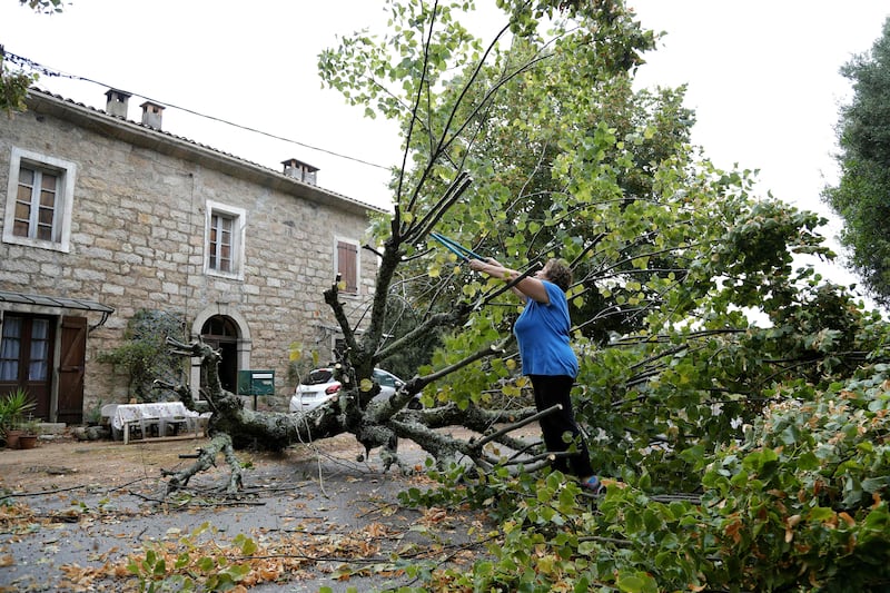 A woman cuts a tree that fell down in Marato, Corsica. AFP