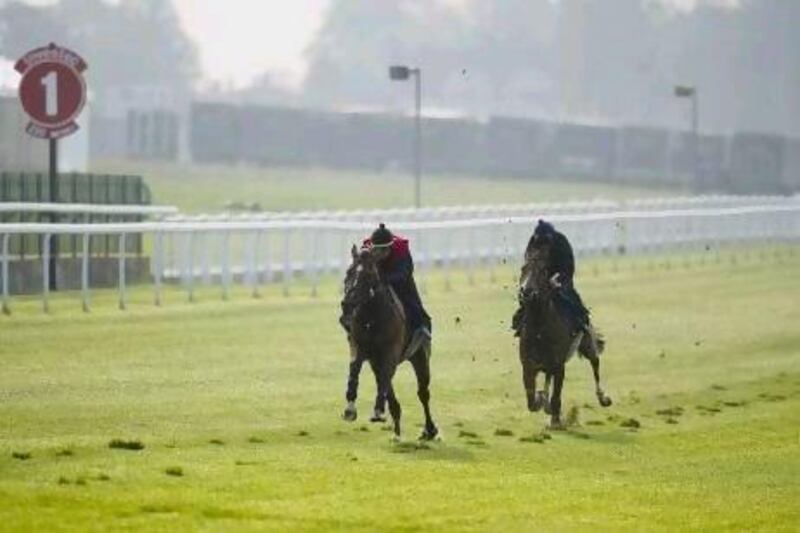 The connections of Beaten Up, left, felt he moved well during track work yesterday morning.